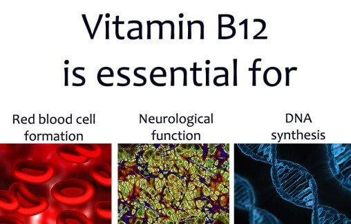 Vitamin B12